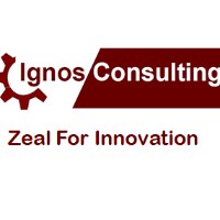 Ignos Consulting Avatar