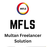 Multan Freelancer Solution Avatar