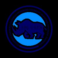 Big Data Rhino, Inc Avatar