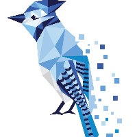 Sea Jay Media Digital Marketing Avatar