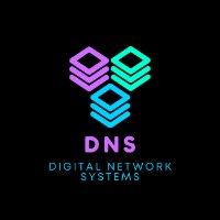 Digital Network Systems Avatar
