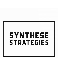 Synthese Strategies Avatar