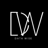 DataWise Avatar