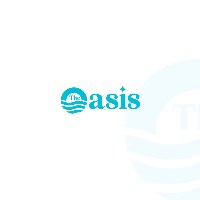 The Oasis Hub Avatar