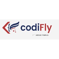 CodiFly IT Solutions LLP Avatar
