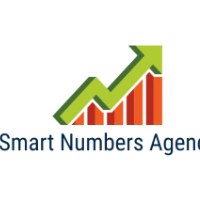 Smart Numbers Agency (SNA) Avatar