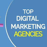 Apex Digital marketing Avatar