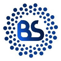 Brand Synergy Avatar