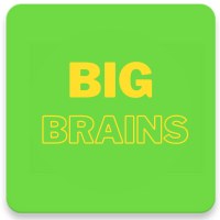 BigBrains