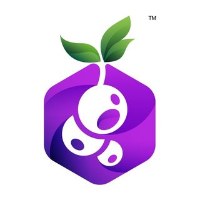 Blackcurrant Labs Avatar