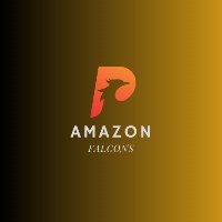 Amazon Falcons Avatar