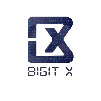 Bigit X Avatar