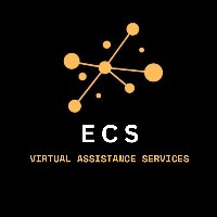 E C S VA SERVICES Avatar