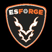 ESFORGE Avatar
