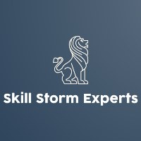 Skill Storm Experts Avatar