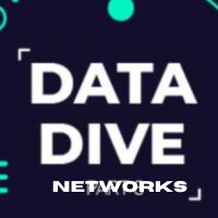 DataDive Networks Avatar