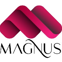 Magnus Avatar