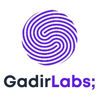 GadirLabs Avatar