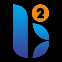 Binary Bridge Avatar