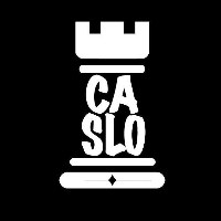 Caslo Marketing Agency LLC Avatar