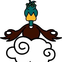 PeaceDuck Development Avatar