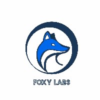 Foxy Labs Technology Avatar