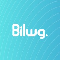 Bilwg Services Avatar