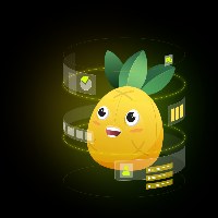 Pinia Web Agency Avatar