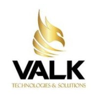 Valk Technologies and Solutions Avatar