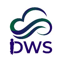 Divine Web Solutions Avatar