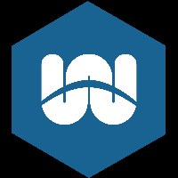 WellSpring Solutions Avatar