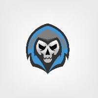 Digiskull Private Limited Avatar