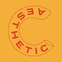 Aesthetic Creative Agency Avatar