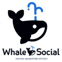 WhaleSocial Avatar