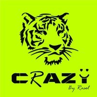 Crazy Tech AI Innovation Labs Avatar