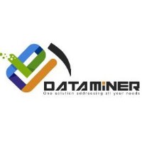 D.M.S (Data Miner Solution's) – Your Full-Time Virtual Partner 