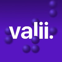 Valii 🟣  Digital Product & Brand Agency Avatar