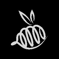 Prezbee Consulting Avatar