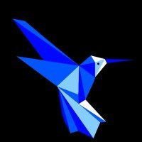 The BlueBirdD Solutions Avatar