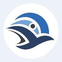 Theydreamer Software Avatar