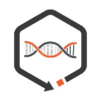 HexSync Avatar