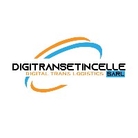 DIGITRANSETINCELLE SARL Avatar