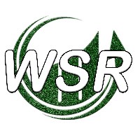 Web SEO Rank Avatar