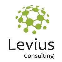 Levius IT Avatar