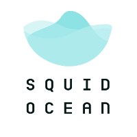 Squid Ocean Ltd Avatar