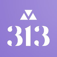 313 Sales & Marketing Avatar