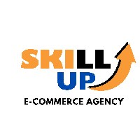 Skillup (e-commerce agency)® Avatar
