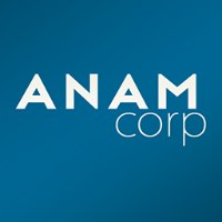 AnamCorp Avatar