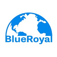 BLUEROYAL IT SERVICES (SMC PRIVATE) LIMITED Avatar