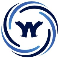 Wix Website Master
